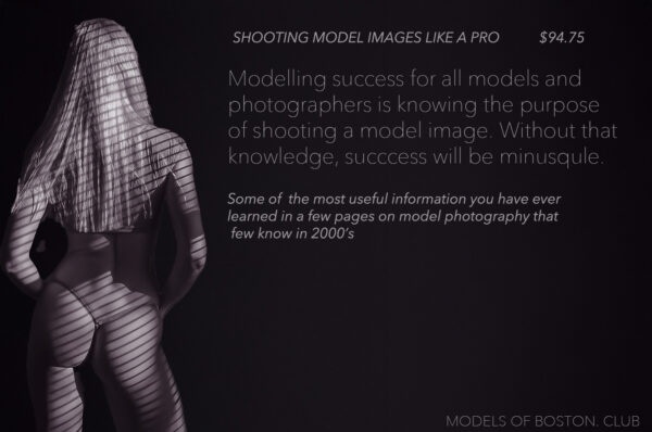 Purpose of a Model Image