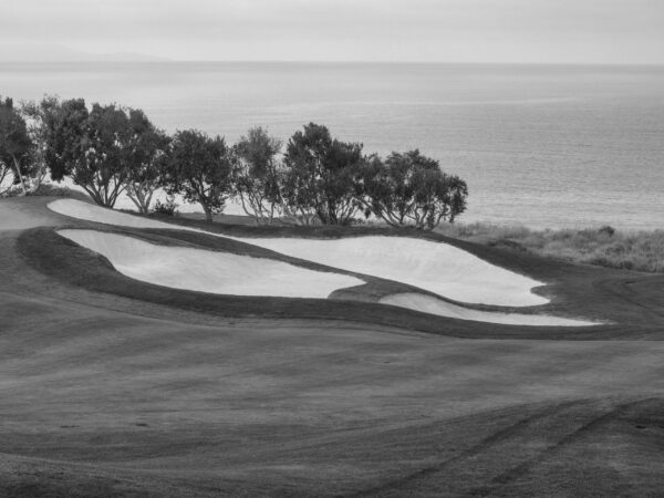 Kayla B&W Golf warmup LRG MOB